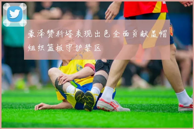 豪泽赞科塔表现出色全面贡献盖帽组织篮板守护禁区