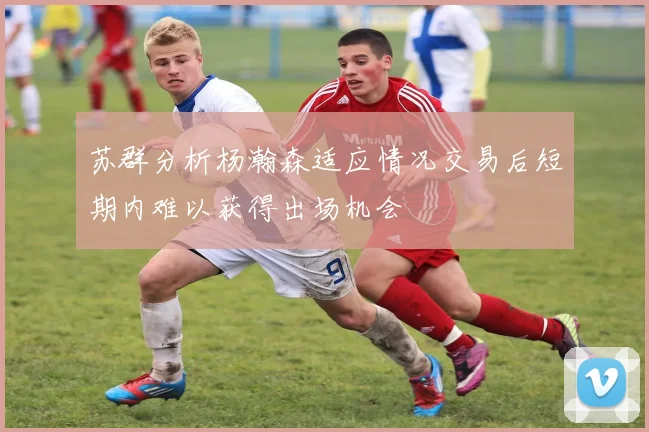 苏群分析杨瀚森适应情况交易后短期内难以获得出场机会