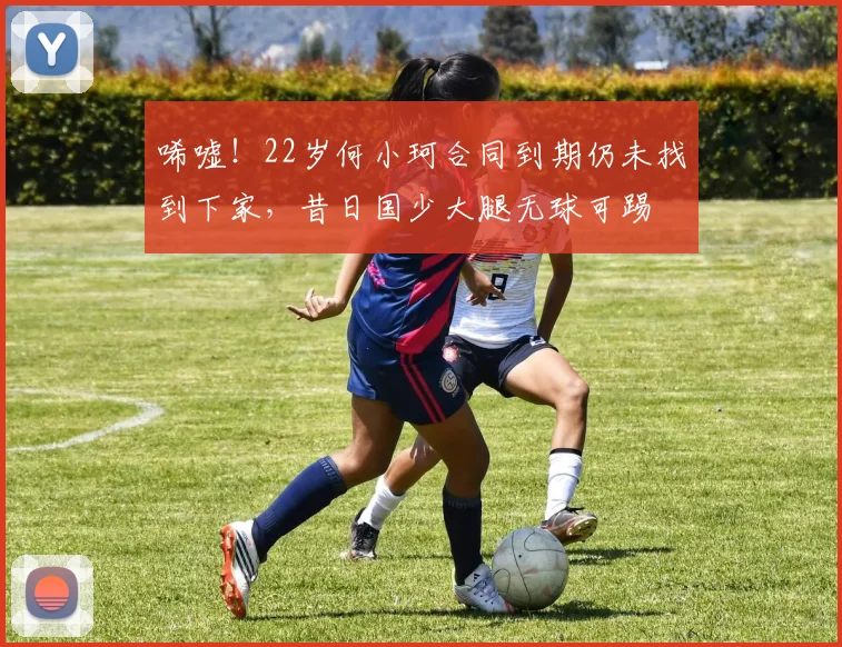 唏嘘！22岁何小珂合同到期仍未找到下家，昔日国少大腿无球可踢