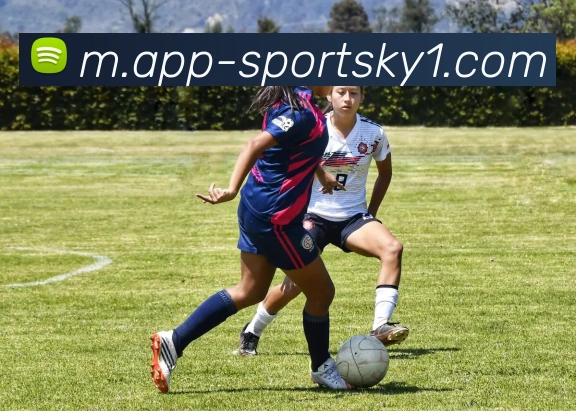 App Interface Preview