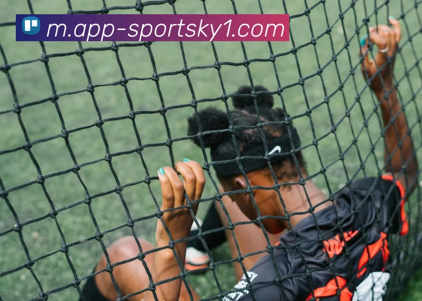 开云体育APP 封面图